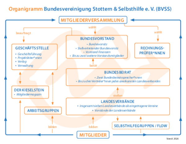 Das Organigramm verdeutlicht die Vereinsstruktur der BVSS